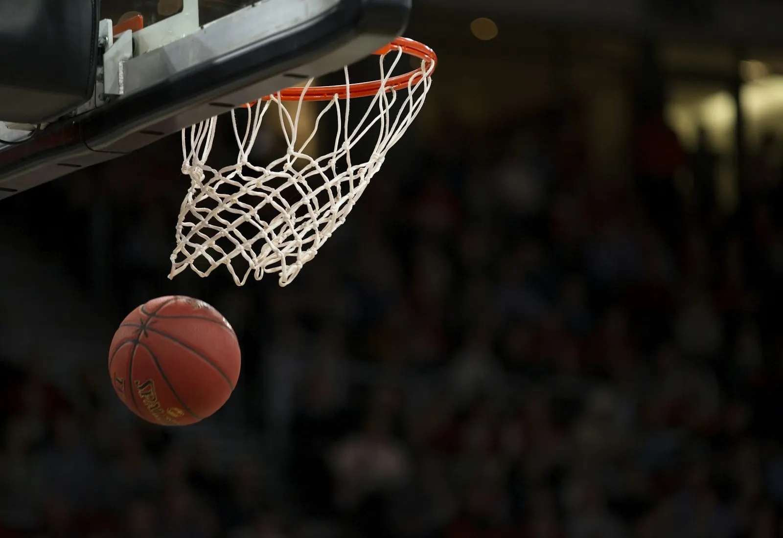 Image for NBA : la préparation d’automne se dessine, les contenders affûtent leurs rotations