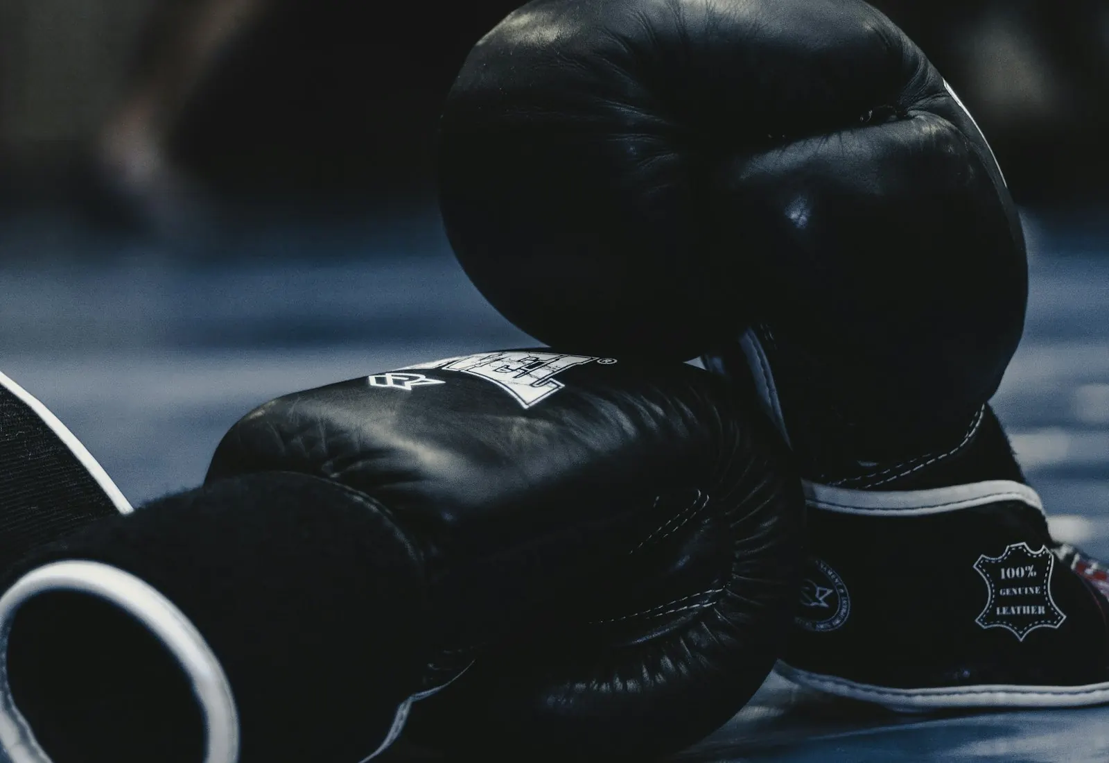 Image for Boxe mondiale : les grosses cartes US gardent la main sur le récit